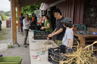 Sharing Farm