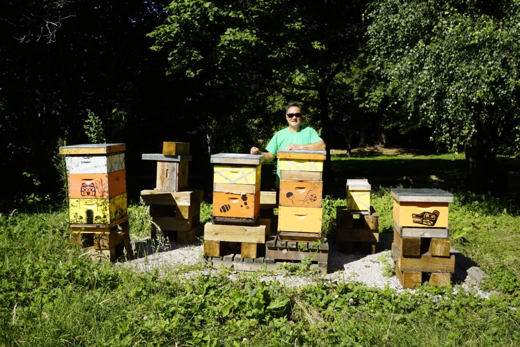 Ian Lai and the honey bee hive at Paulik Community Garden. There are four hives. The small yellow box (right) is called the “nuke,” which is super strong and is used to start a “split” (new colony) with a new queen bee.