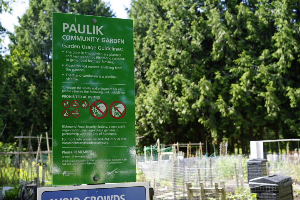 Paulik Community Garden, Summer 2020